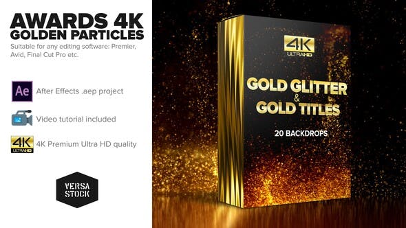 Awards 4K Golden Glitter Particles Titles Videohive 24982436 Free download