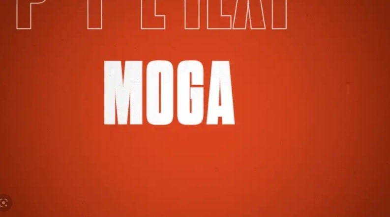 Ezra Cohen Mogart Tittles Transition