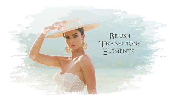 Videohive Brush Transitions Elements\AE